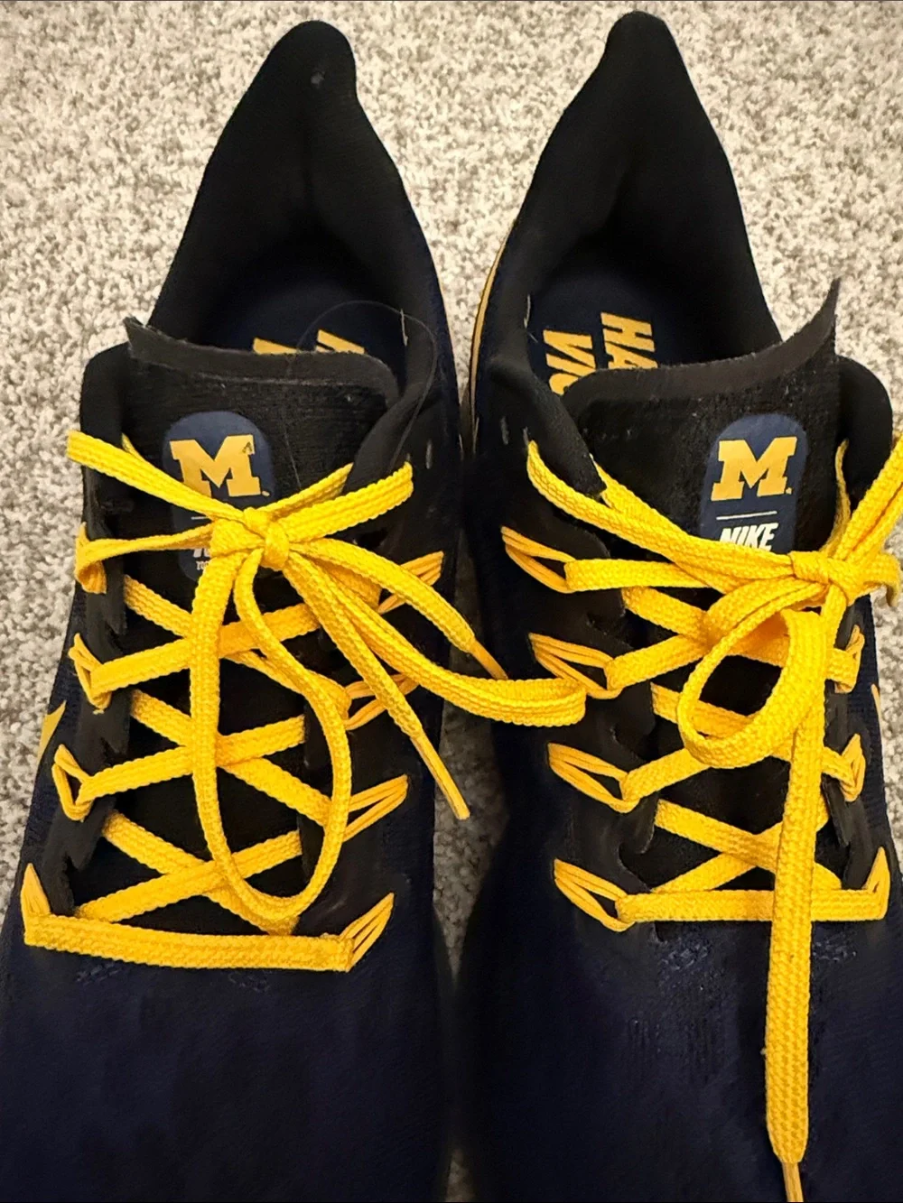Nike Men’s Michigan Wolverines Sneakers size 11.5
